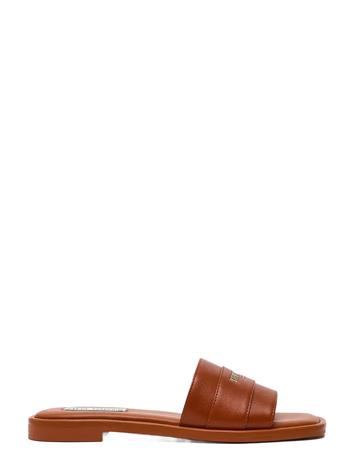 Steve Madden Ashten - Brown - 41