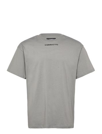 7 DAYS Active Regular Race Line Tee - Grey - XL