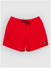 Quiksilver Everyday Solid Volley 15 Surffishortsit salsa Miehet