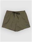 Quiksilver Everyday Solid Volley 15 Surffishortsit grape leaf Miehet