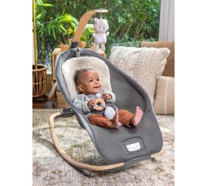 Ingenuity Ingenuity Every Season™ Rocking Seat - Wesley™ - Grey - ONE SIZE