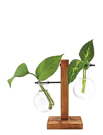 Winkee Vase - Hydro Vases Fleur - Brown - H8CM