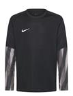 Nike Y Nk Df Park V Gk Jsy Ls - Black - L