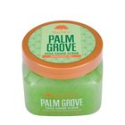 TREE HUT Palm Grove Shea Sugar Scrub Vartalokuorinta 510 g