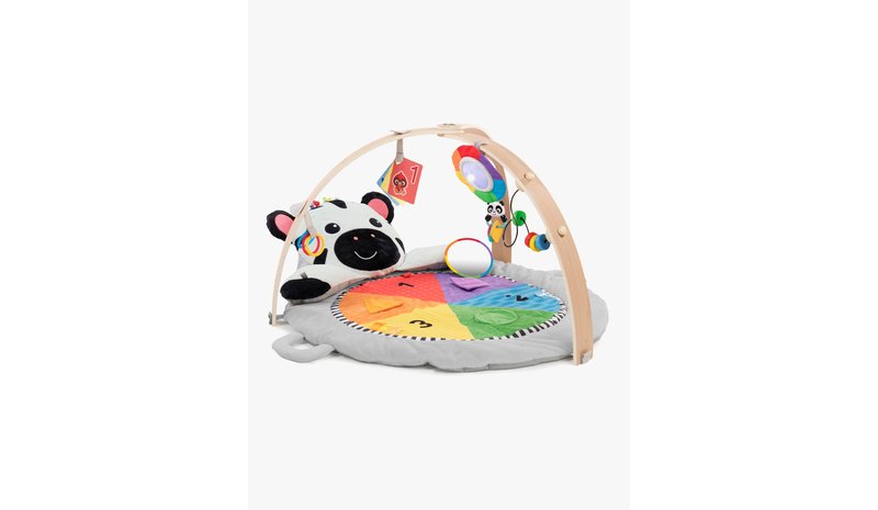 Baby Einstein Zen's Activity Milestones Leikkimatto