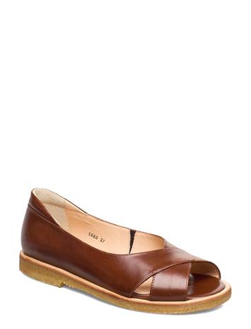 ANGULUS Sandals - Flat - Open Toe - Clo - Brown - 38