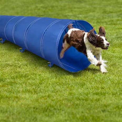 Agility-tunneli 3 m