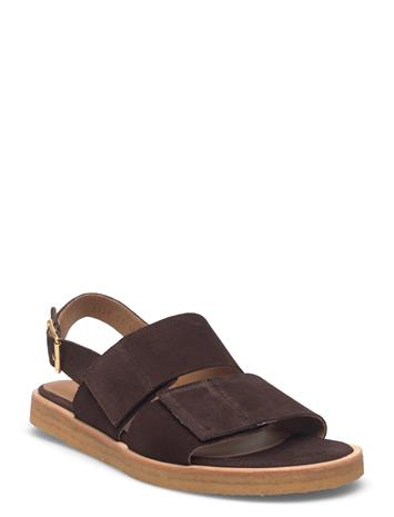 ANGULUS Sandals - Flat - Open Toe - Op - Brown - 42