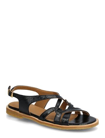 ANGULUS Sandals - Flat - Navy - 42
