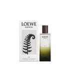 Eau de Parfum Loewe Esencia Elixir puinen aromaattinen tuoksu 100 ml