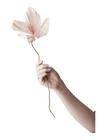 Studio About Paper Flower - Pink - L:45CM