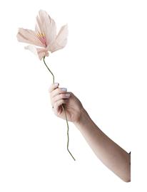 Studio About Paper Flower - Pink - L:45CM