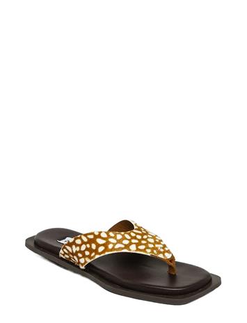 Steve Madden Splash-A - Multi/patterned - 41