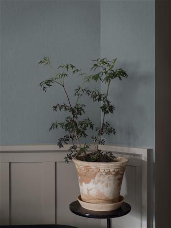 Dusty Denim - 4330 Tapetti