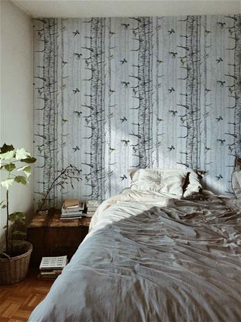 Birch Trees Grey - 9500040N Tapetti