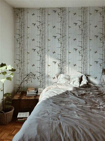 Birch Trees Beige - 9500041N Tapetti