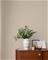 Ticking Stripe - M1848 Tapetti – kuva 2