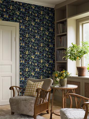 Citronträd - 5703 Tapetti