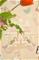 Mermaid Reef Sandy beige - 152-01 Tapetti – kuva 5