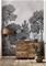 Delamere Mural - MN50945 Tapetti – kuva 2