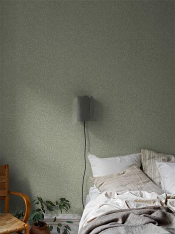 Salix Alba - 7787 Tapetti