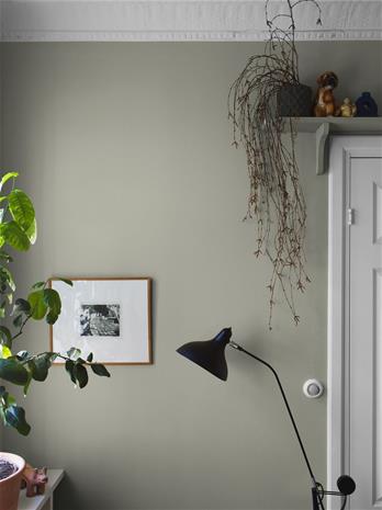 Linden Green - 7559 Tapetti