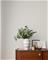 Ticking Stripe - M1847 Tapetti – kuva 2