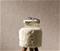 Focus - 10307-32 Tapetti – kuva 3