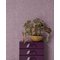 Groovy - 340534 Tapetti – kuva 1