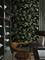 Eucalyptus - 9523W Tapetti – kuva 2