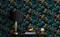 Zachary Blue - 1079701-01 Tapetti – kuva 2