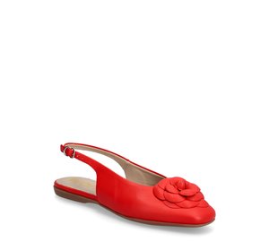 Wonders Pepa 40 - Red - 42