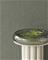 Sensory - 340315 Tapetti – kuva 2