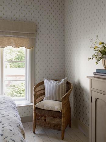 Anemone - 6973 Tapetti