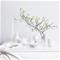 Tri Leaf - G45462 Tapetti – kuva 3