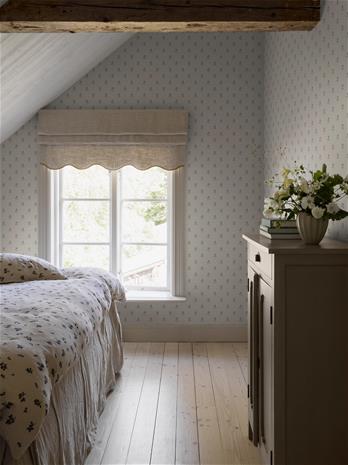 Anemone - 6974 Tapetti