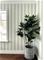 Fiona Home Paper - 100703 Tapetti – kuva 3