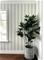 Fiona Home Paper - 100702 Tapetti – kuva 3