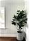 Fiona Home Paper - 100701 Tapetti – kuva 3