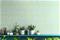 Tiny Tulip Lime & Sky - GHS50135W Tapetti – kuva 3