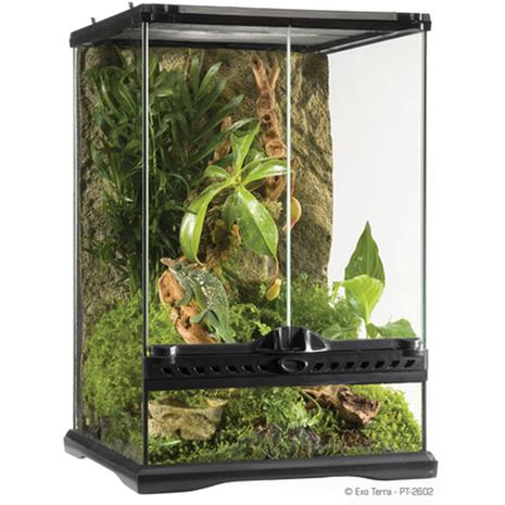 Exoterra - Terrarium Mini Tall - 30 x 30 x 45 cm