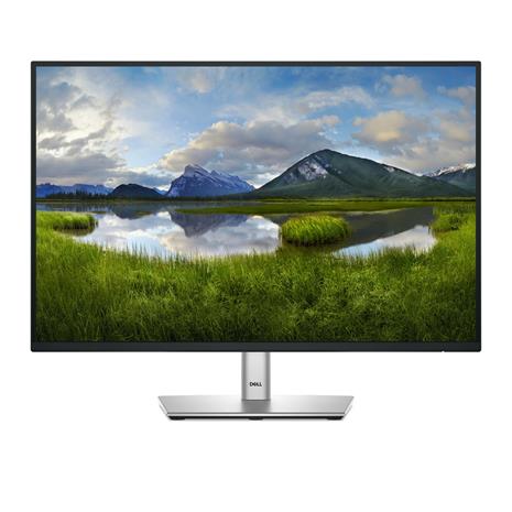 24" Dell P2425 - LED monitor - 24"