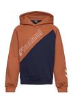 Hummel Hmlaxel Hoodie - Brown - 116