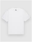 Quiksilver Salt Water T-paita white Miehet