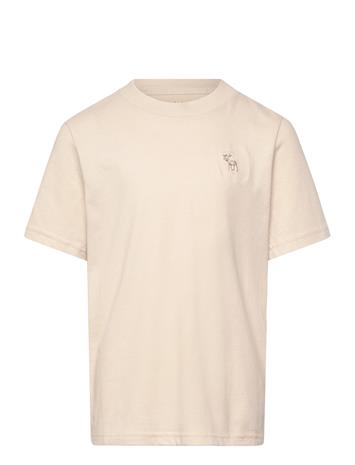 Abercrombie Kids Te-S/S Tee - Blue - 155/159 – kuva 6/8
