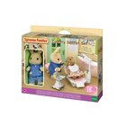 Sylvanian Families Hammaslääkärisetti