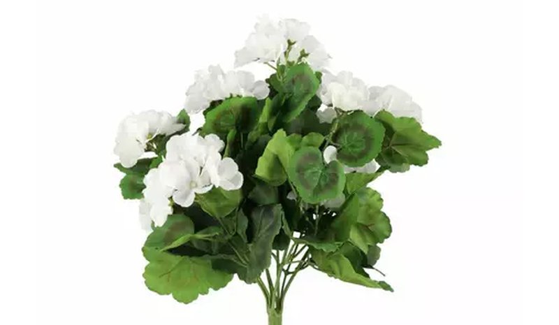 Pelargonia kimppu 39cm – kuva 1/1