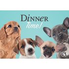 Plenty Dinner time! alusta