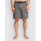 Billabong Wasted Times Shortsit charcoal grey Miehet