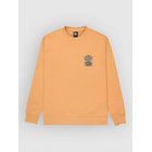 Quiksilver Salt Water Graphic Crew Neulepaita khaki Miehet